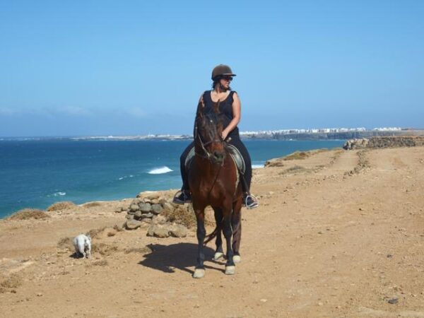 03 Tara, der Pferdehof für Achtsamkeit & Kommunikation: Ausritte