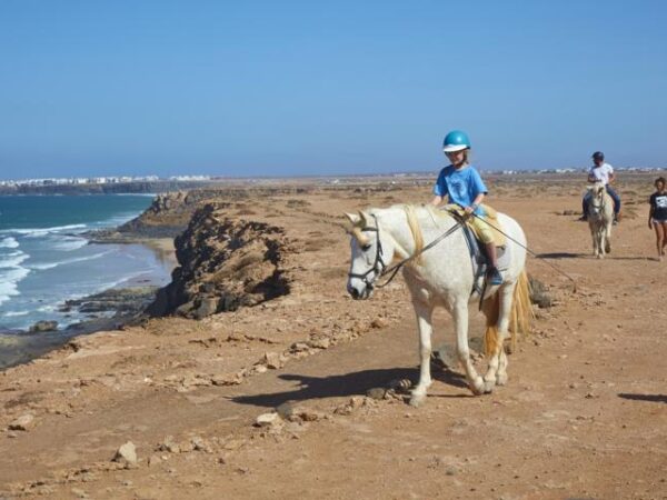 06 Tara, der Pferdehof für Achtsamkeit & Kommunikation: Ausritte