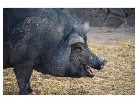 15 Tara, der Pferdehof für Achtsamkeit & Kommunikation