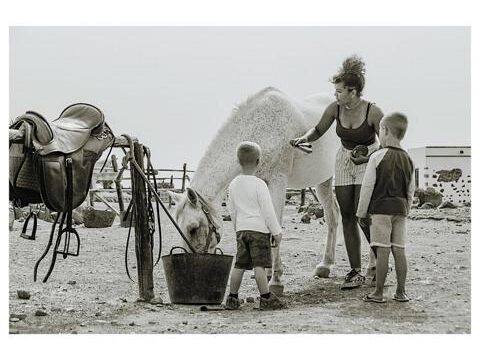 18 Tara, der Pferdehof für Achtsamkeit & Kommunikation