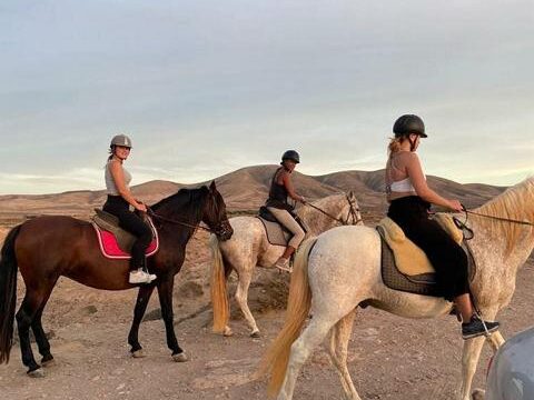 23 Tara, der Pferdehof für Achtsamkeit & Kommunikation