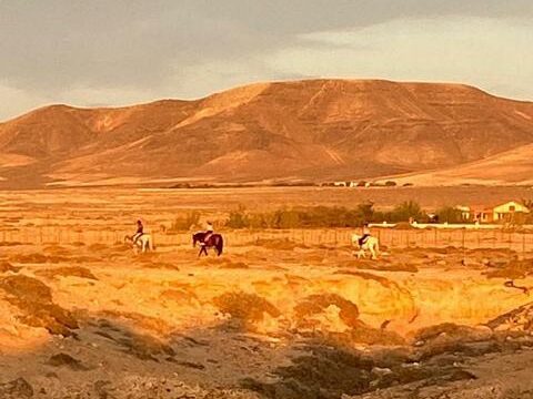 24 Tara, der Pferdehof für Achtsamkeit & Kommunikation