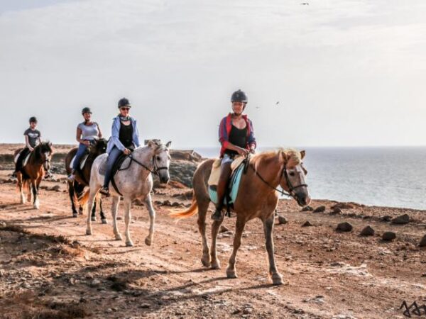 24taratour1 Tara, der Pferdehof für Achtsamkeit & Kommunikation: Ausritte