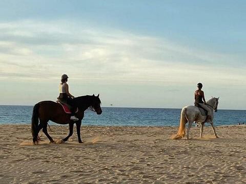 25 Tara, der Pferdehof für Achtsamkeit & Kommunikation