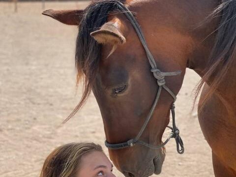 26 Tara, der Pferdehof für Achtsamkeit & Kommunikation