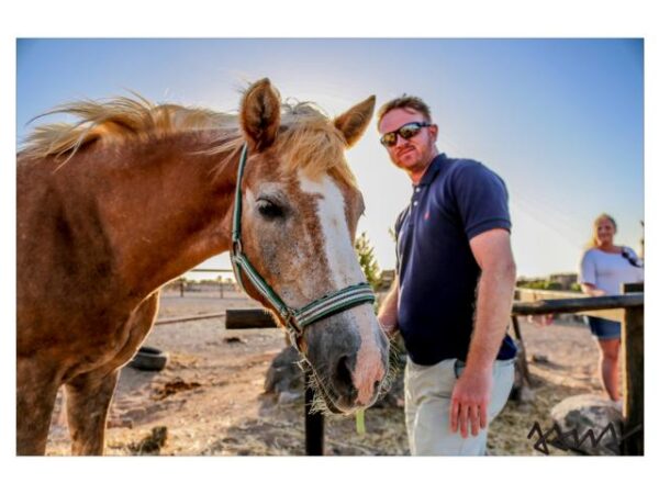 34 Tara, der Pferdehof für Achtsamkeit & Kommunikation: Ausritte