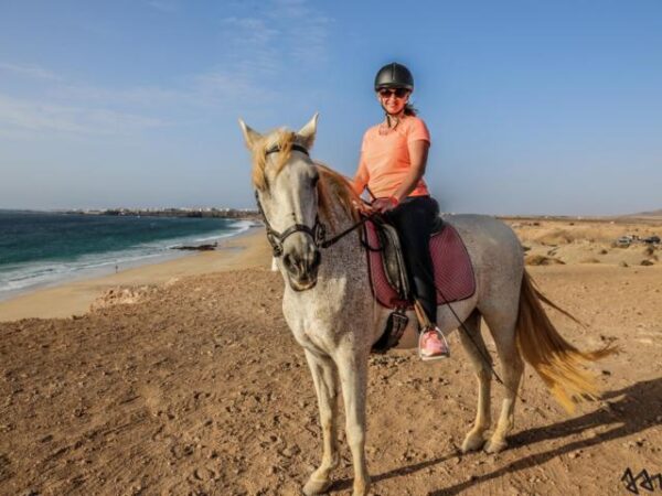 48taratour1 Tara, der Pferdehof für Achtsamkeit & Kommunikation: Ausritte